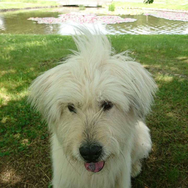 Ef1f70c6 1dcf 4040 80f2 b1c9e484f8f5