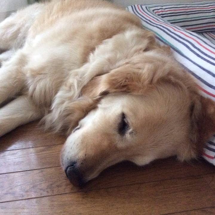 Ef1f7ed1 7636 4029 8983 a829b6335b36