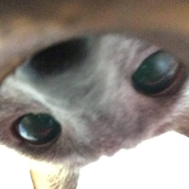 Ef1f9b73 eb70 4908 85d6 668d37dbe62a