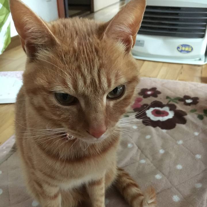 Ef1fada0 e4a6 42ae a56b 469ddfcc4bb8