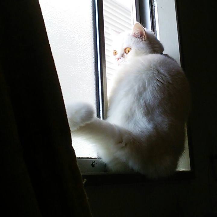 Ef1fe356 36b9 4ca0 b5ac dcb26b9b540c