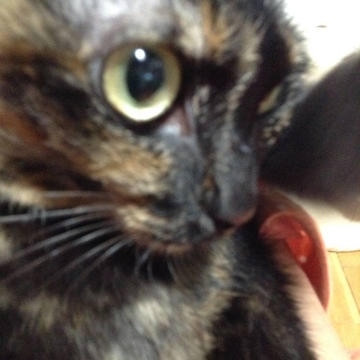 Ef209690 5f4f 4673 8702 1afc24caef06