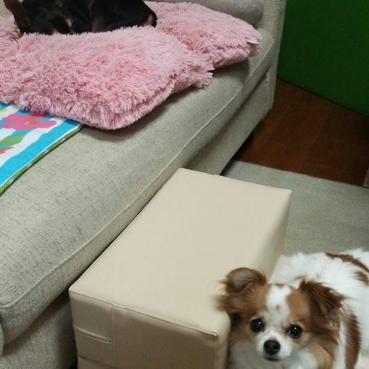 Ef20c7dc 08d4 4a95 96a0 4f170ea6af6d