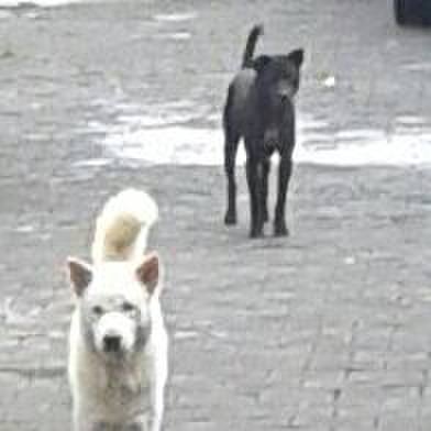 Ef20f16b c222 4f51 8a26 d09219073556