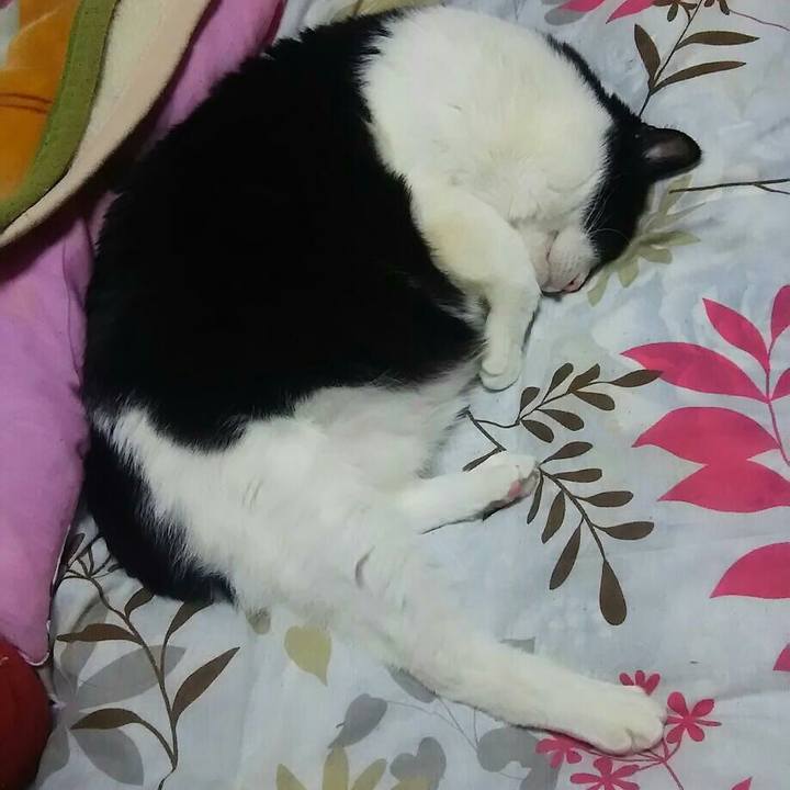 Ef20f8dd dd13 4216 a33f 996a55b367ed