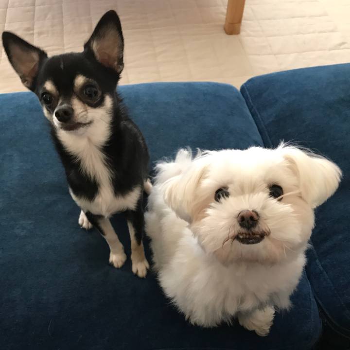 Ef21e308 bff7 415e 9305 79de7c9fc9a7