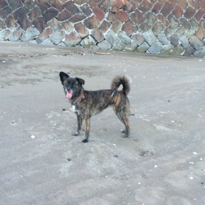 Ef23445d b221 4293 985b 2f6b8c248bd9