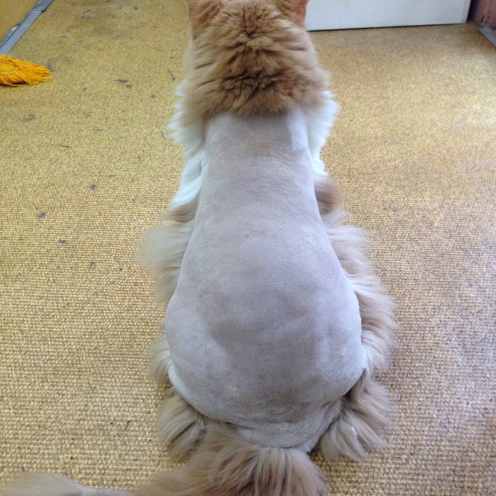 Ef234a6e 1e56 4652 90d1 928279931f36