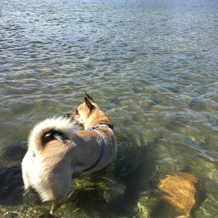 Ef234f7e 9b3f 41c7 b5c2 2adebd5f6713