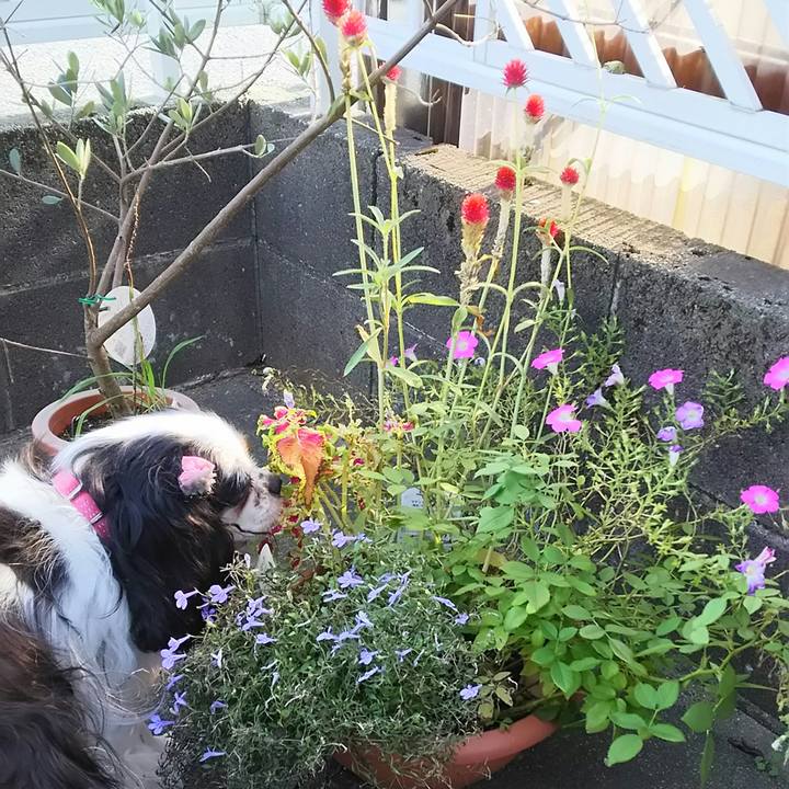 Ef2383ee 5c6f 48ae a879 ae5f5fc7c2db