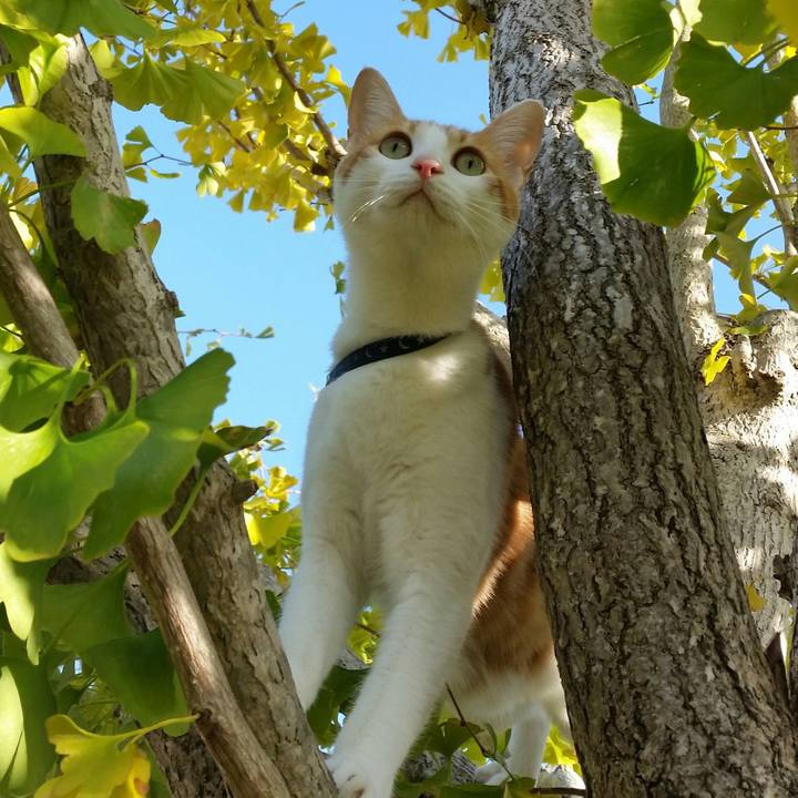 Ef24afc6 f0d6 4334 a218 0dd5c02be539