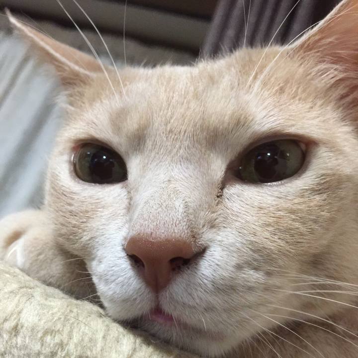 Ef258d00 c98a 42b7 bf87 a97a177a874e