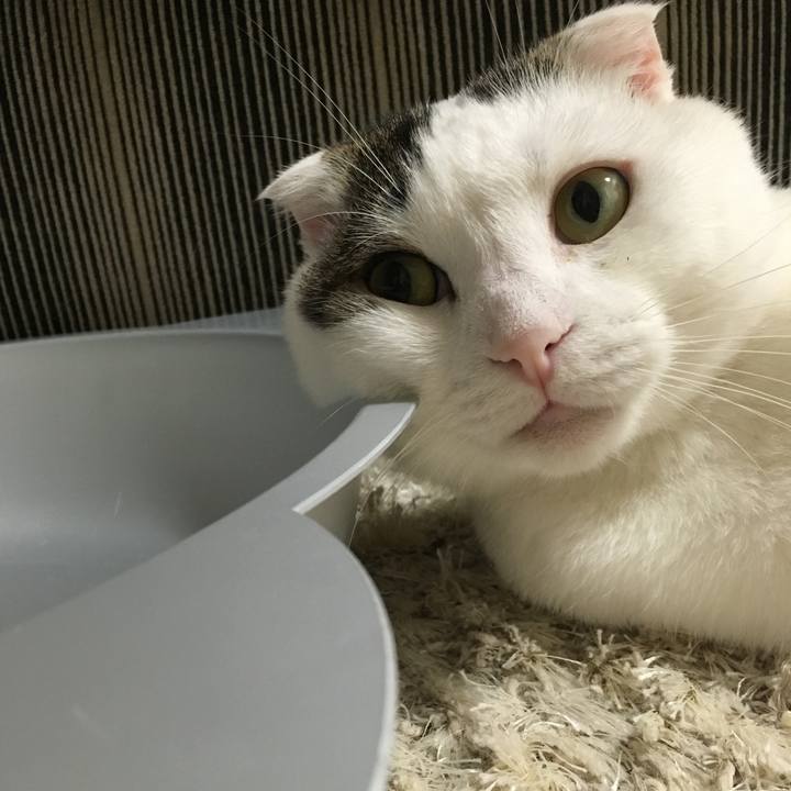 Ef263da4 39be 48cd 958a 0f5b929e12b0