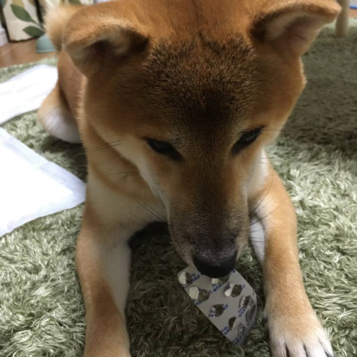 Ef277c73 a6d3 4b71 ad27 cbe22809ac2c