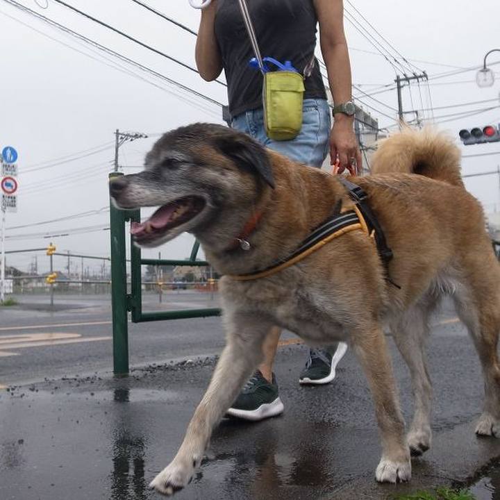 Ef2813b9 f8ef 45ba a504 d9df21b1b7fd