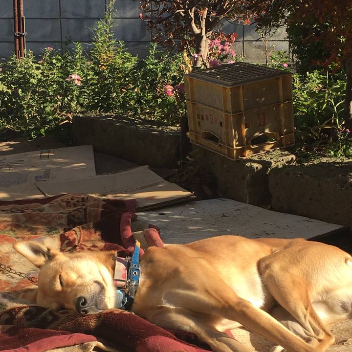 Ef281b56 590f 42d7 8c92 e04b3daa80a7