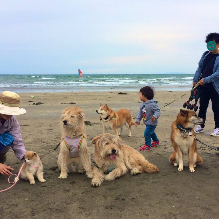 Ef2880f2 0a3e 4f1b 91e5 3877c1ef962e