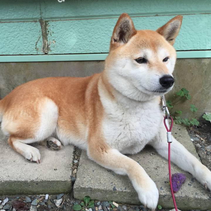 Ef29ab33 d60c 48e3 abce 5fb8b386cee8