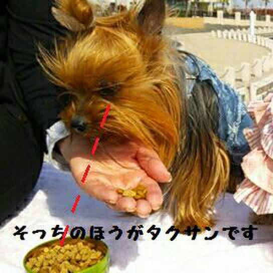 Ef2a12e5 3865 4357 b62d 1629fa62e55c