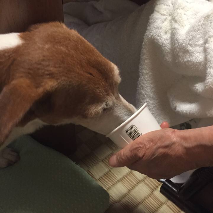 Ef2a8c72 9b6c 4073 a023 244c8507594f