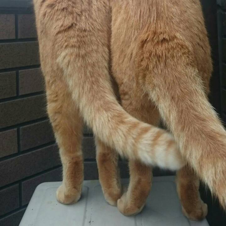 Ef2b241e 3a18 464d 80c2 a46a4a6702eb