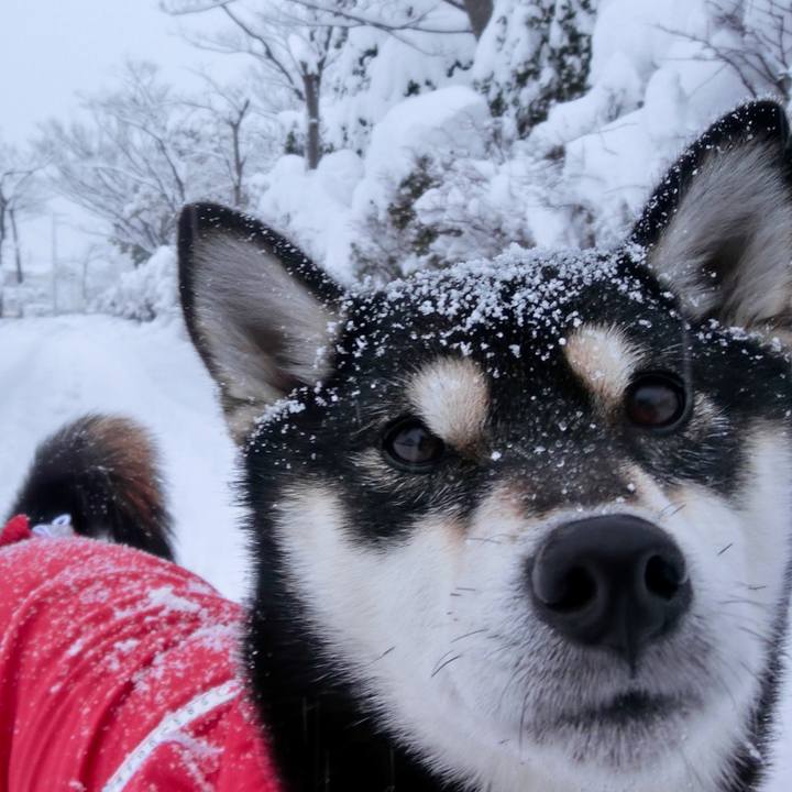 Ef2cd6f9 ac0b 4f2c aafa 0010cd34d9bd