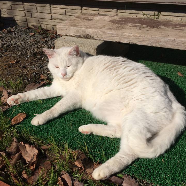 Ef2cd7e9 0642 4a5e 99dc e3021c54316e