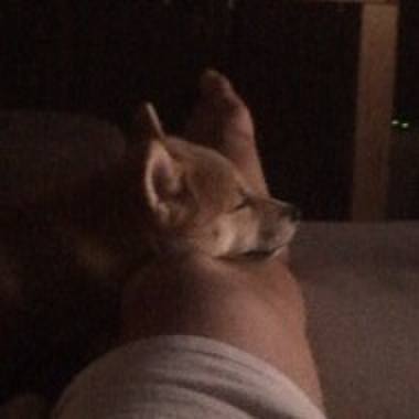 Ef2cef11 680b 4289 89d0 8f49db64d0c1