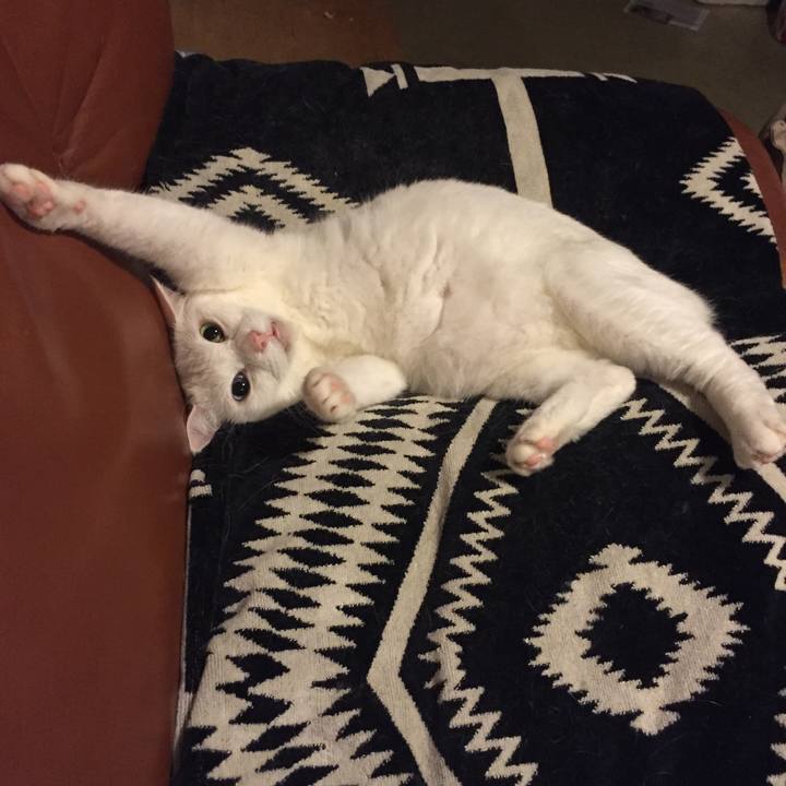 Ef2d698e b670 4c71 b1c9 c866367d2852