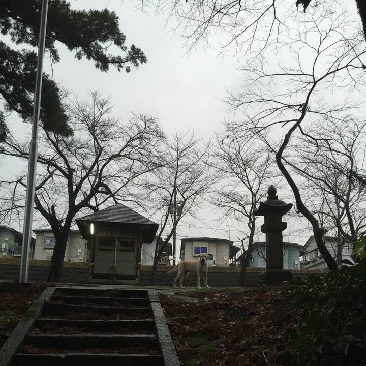 Ef2dbae0 422f 41fe 9a13 76f8c8bc11bc