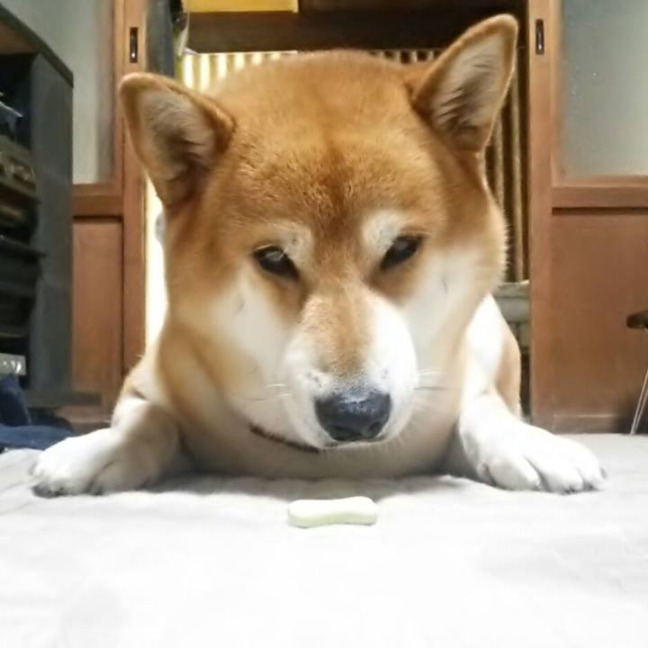 Ef2de793 82ad 4f7b 9f1b ff91ea71018b