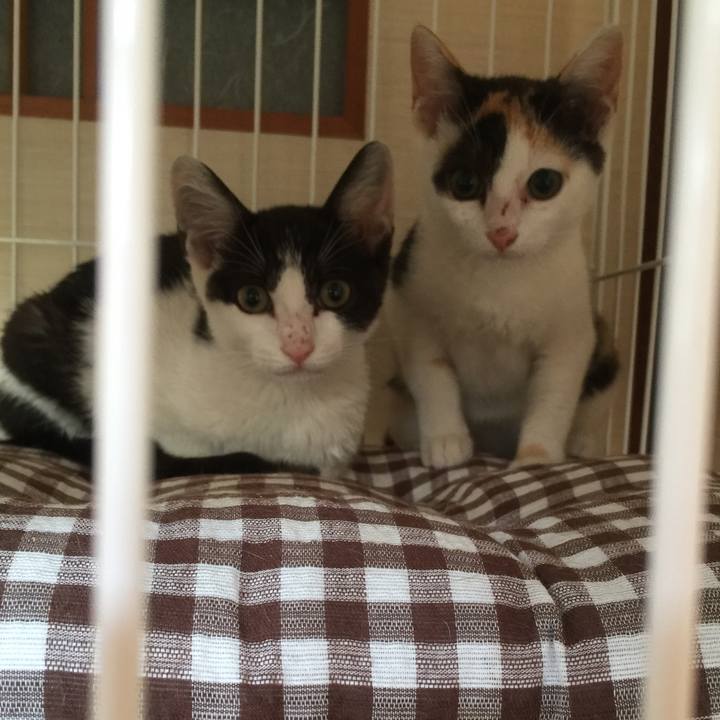 Ef2e2ed9 98ae 4891 9fac 84749fafe303