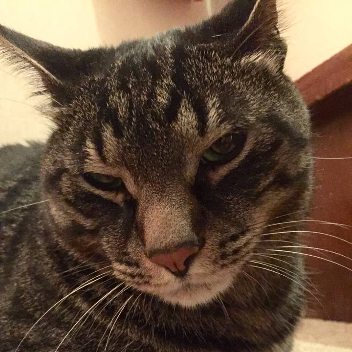 Ef2e4b89 cf6a 4088 9572 e9844ae57395