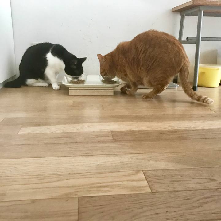 Ef2ef8cd ee30 4b8b 9119 d87deb639959