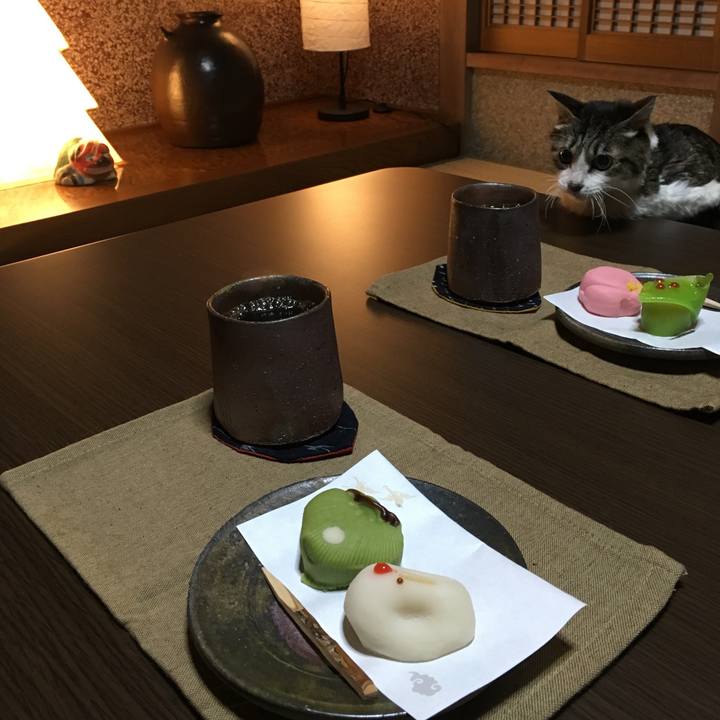 Ef2f8aa6 026f 4437 9f31 8b44d64f26d0