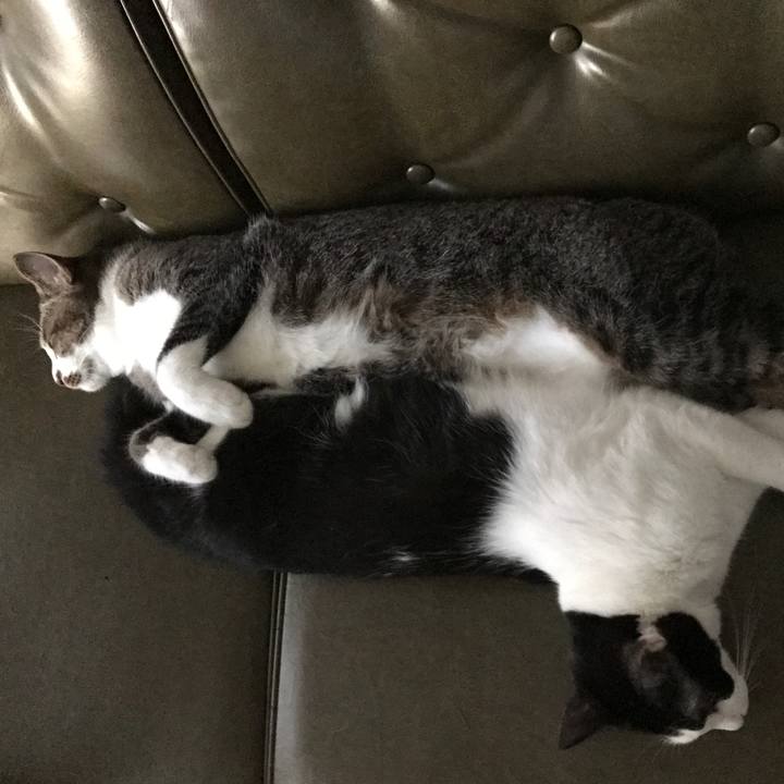 Ef2fbf29 afca 4ecc 9ab0 e1d701f3bfd6