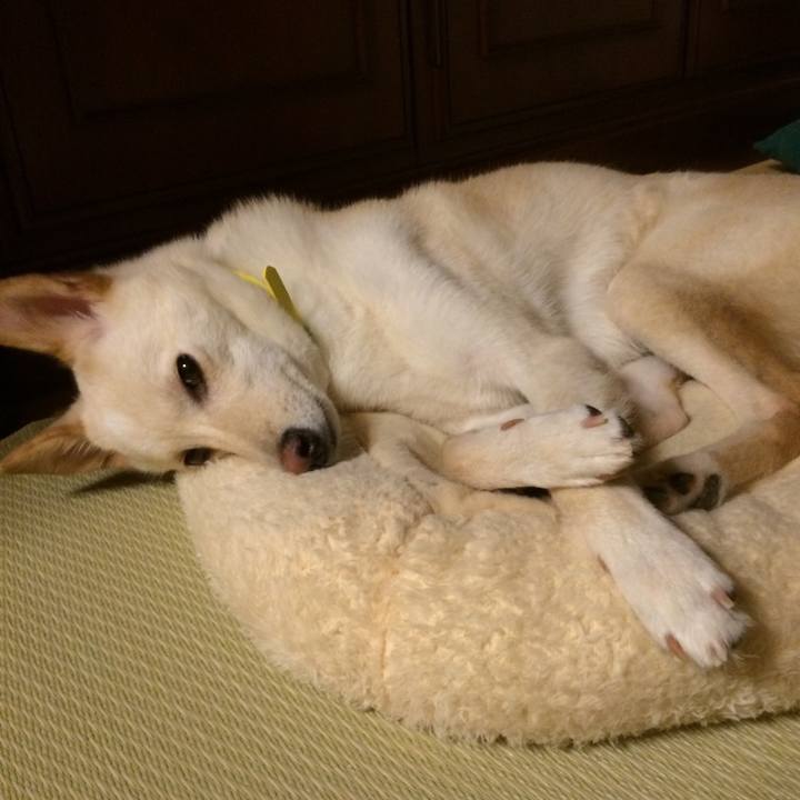 Ef2ff338 aed6 4311 9d2d e1fdf0e17de4