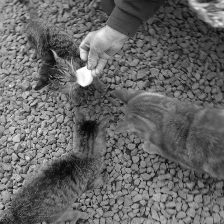 Ef30145b 4643 42b9 b2d8 bf40685f62d2