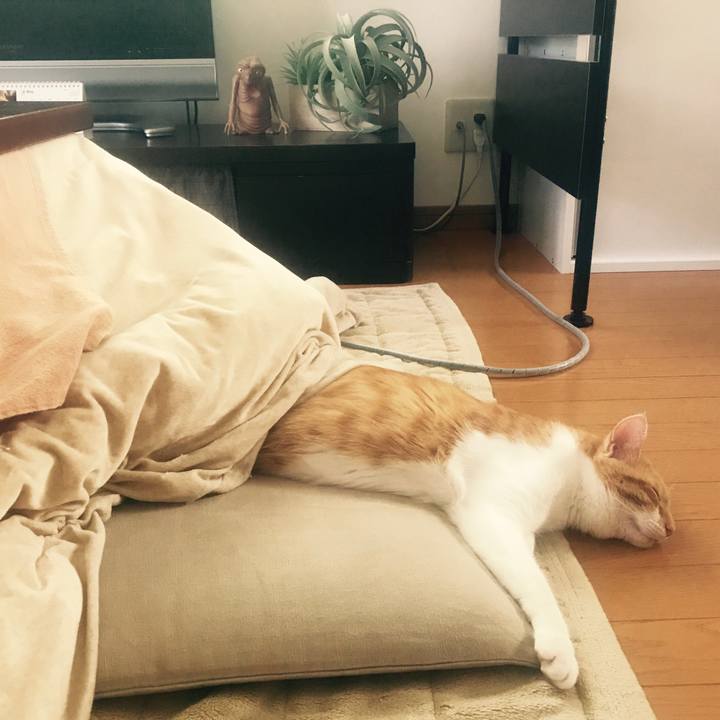 Ef301644 3b47 4d7a 8a82 923e7acd96b7