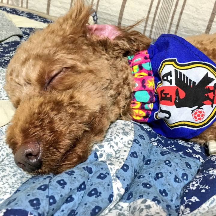 Ef30a7be 4f83 44da 80cc b251f29442b6