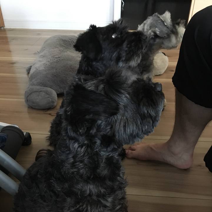 Ef30faa0 9879 49a7 8ce2 2bc8ec8979b8