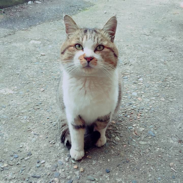 Ef3152db 4c94 44f7 80c6 9011c384e728