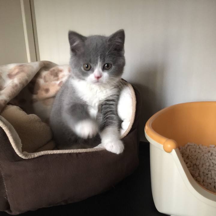 Ef3156bc a5d3 488a 8c91 55b10410050c