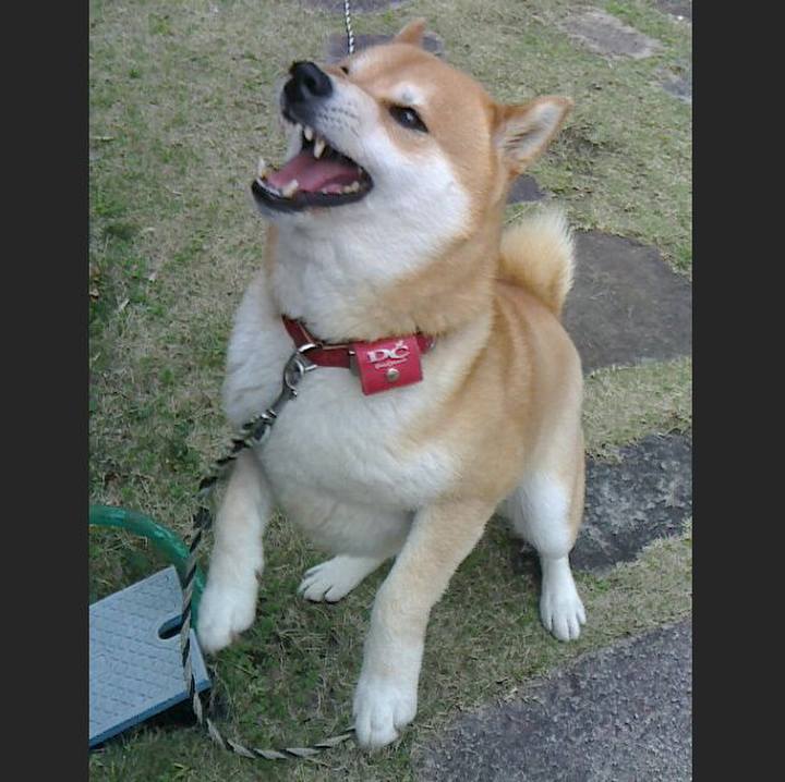 Ef31b6ae 8f1b 4ce1 bf1e 66f536e54837