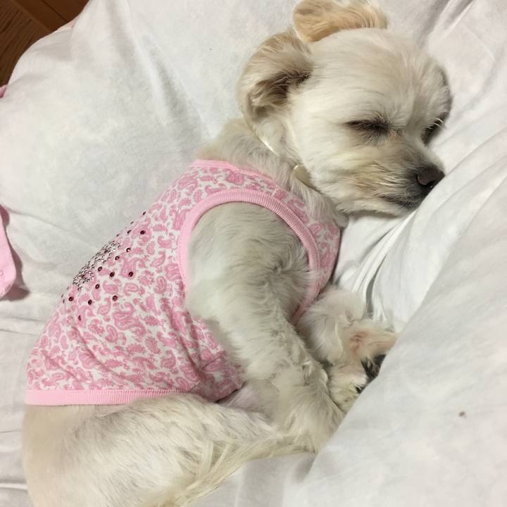 Ef320a53 2069 4857 9657 84d62d7c3274