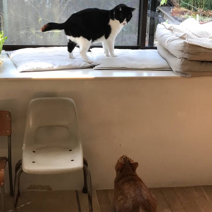 Ef32d94b a72f 487d 86b3 7b77af3dec2c