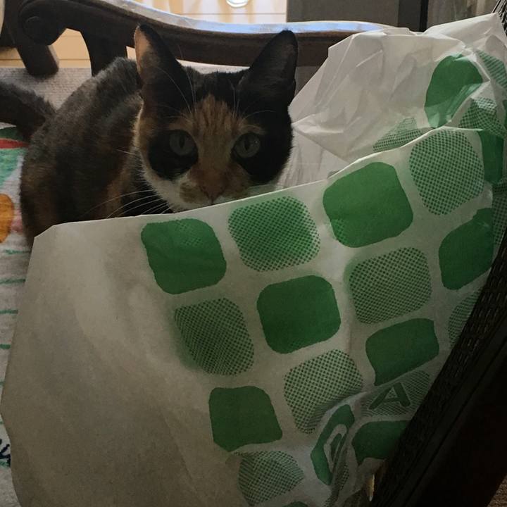 Ef33ab9c 3a17 4ec6 9035 c6b2785b6ce4