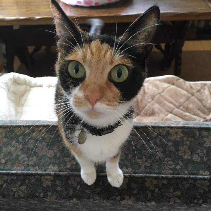 Ef348269 d6bb 49b4 b5e4 d8c22efb6693