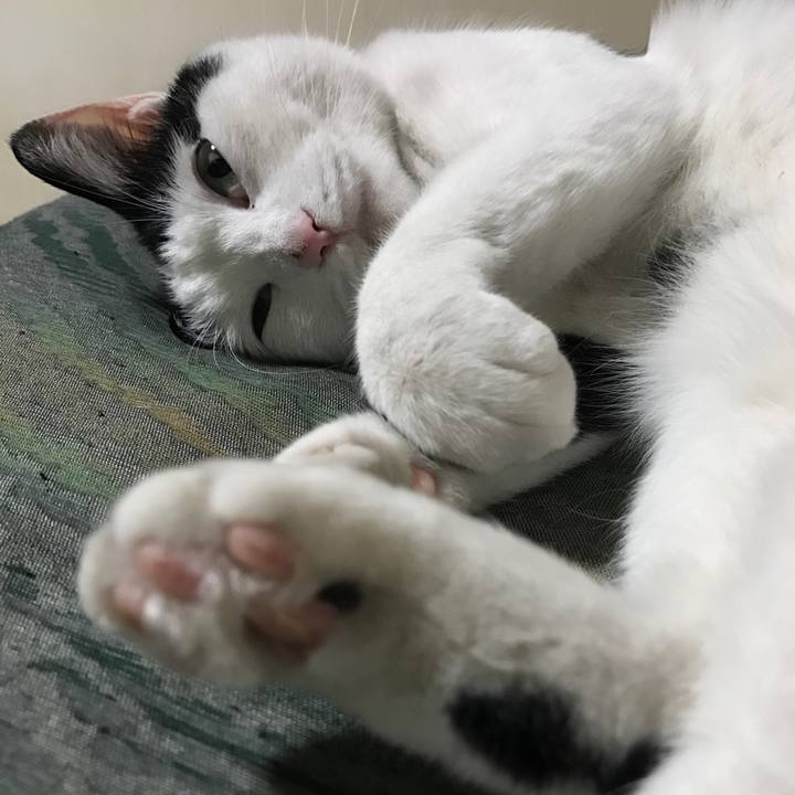 Ef35d83d 846a 44bd 89b9 c646100524c5