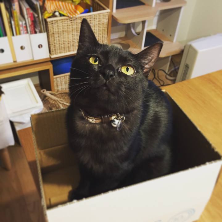 Ef360d79 021f 41e2 b597 3d44330cf0dc